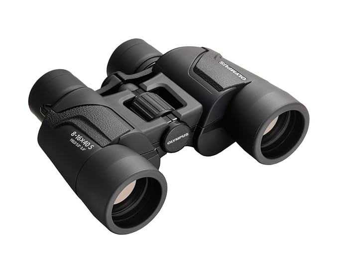 Buy Olympus Binocular 816x40 S Binocular, Natural Colours, Wide Field of View, Lightweight