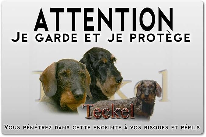 Pets Easy Panneau Attention Au Chien Teckel Poil Dur