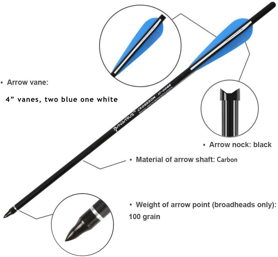 PANDARUS Archery Carbon Crossbow 17/20/22-Inch Arrows Bolt Crossbolt Fletched 4 Inch Vane with Field Point (Pack of12) (20) : Sports & Outdoors