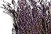 SuperMoss (27608 Dried Flowers - Erica, Purple, 3.5oz