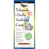 Earth Sky + Water FoldingGuide&trade; - Tidepools of the Pacific Northwest Coast - 10 Panel Foldable Laminated Nature Identification Guide