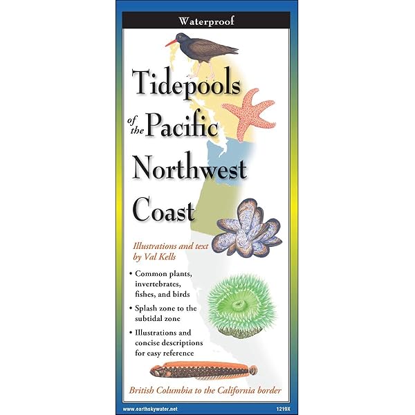 洋書　GUIDE DES MYGALES タランチュラなど 洋書 GUIDE DES MYGALES タランチュラなど - メルカリ