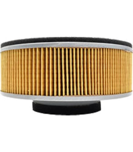 Amazon.com: Emgo Replacement Air Filter for Kawasaki ZX-9R