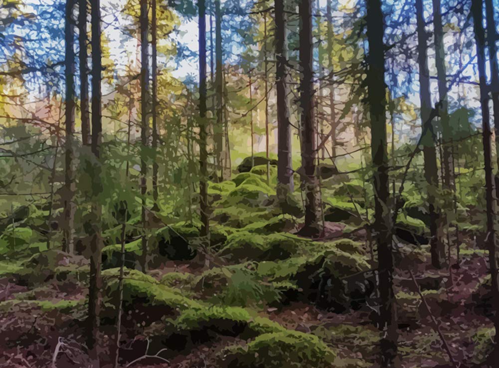 ABEUTY DIY Paint by Numbers for Adults Children, Roses in Glass Dome, Beauty and The Beast, Enchanted Rose 16x20 inches Number Painting Art Therapy (No Frame, Forest)