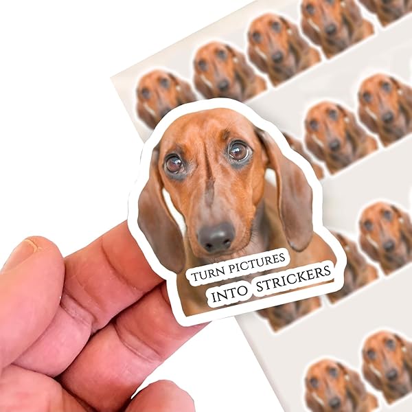 Gnome Witch Decal Sticker - Funny Adhesive Vinyl For Tumblers, Laptops & More