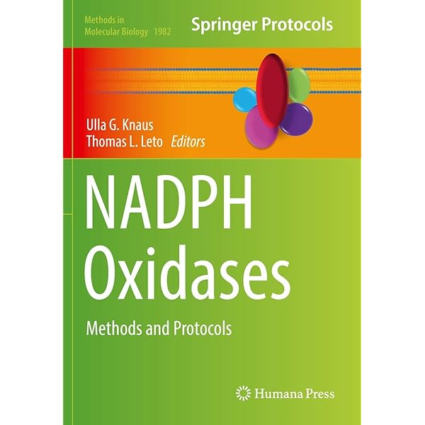 語学・辞書・学習参考書 Introduction to Reticular Chemistry Amazon.com: Introduction to Reticular Chemistry: Metal