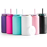 FECBK 6 Pack Glass Cups with Lids and Straws Unbreakable 16 oz Stainless Steel Can Cup Double Wall Insulated Beer Can Tumbler for Iced Coffee, Juice, Soda, Matte-Colored