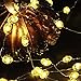 Fall String Lights Harvest Decoraions - 10ft 40LEDs Smooth Surface Pumpkin Themed Fairy Lights with Remote & Timer Flicker Mode Ideas for House, Wedding, Cosplay, Birthday, Bedroom, Porch Decor