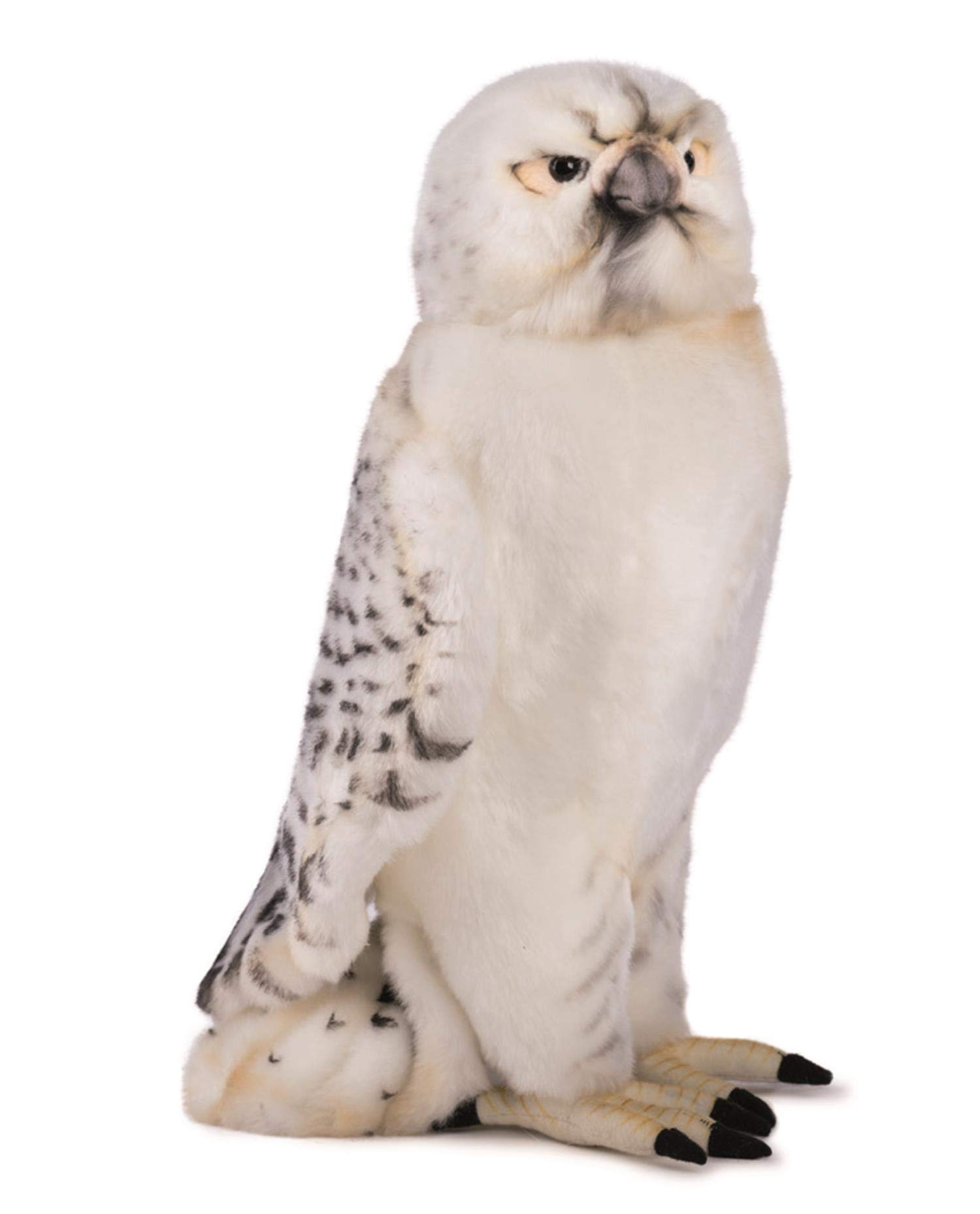 Falcon Soft Toy (Articulated Head) 35 cm H