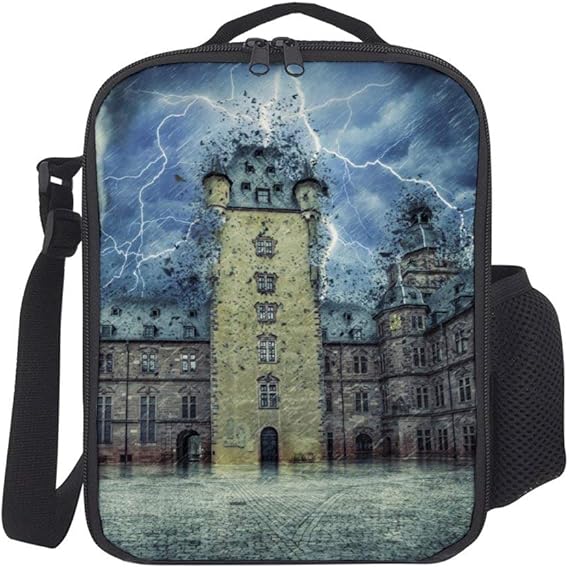 Amazon.de: Tragbare, isolierte Picknick-Tasche mit Schultergurt für