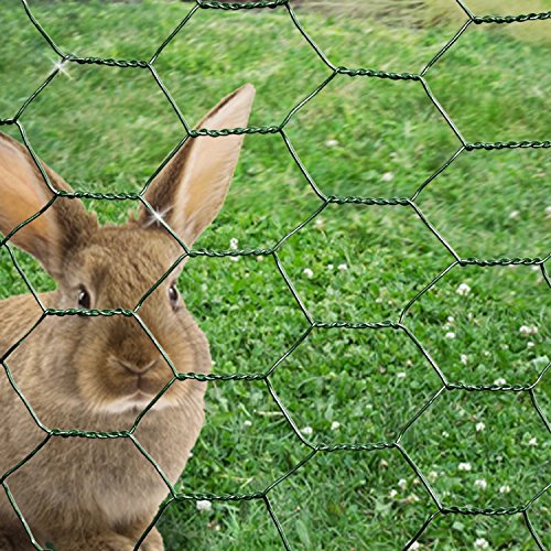 CrazyGadget® Chicken Wire Mesh Rabbit Animal Fence Green PVC Coated