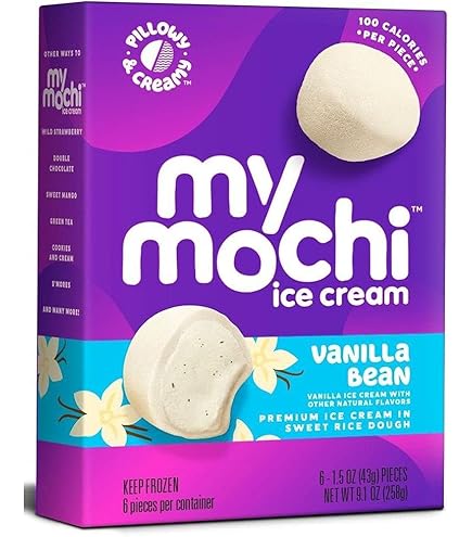 Amazon.com: My Mochi Mint Chocolate Chip Ice Cream, 9.1 Ounce - 12