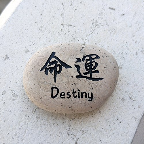 Destiny Kanji Stone Natural Beach Pebble Rock, Love gifts, Birthday Gifts