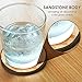 Coasters For Drinks in Iron Holder - 4 Pack, Protect Furniture From Excess Condensation & Scratch - Absorbent Sandstone inside Good Grips Detachable Cover Tray, Better Than Stone With Cork Backing