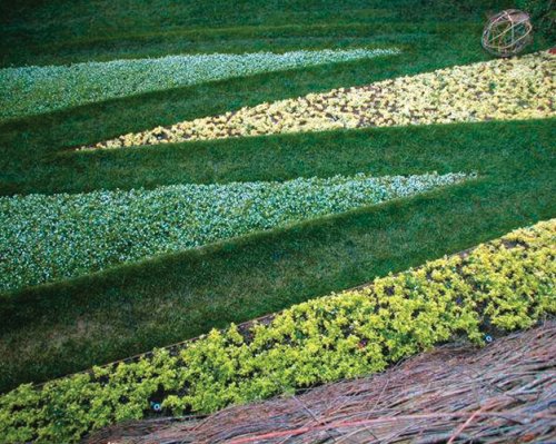 Andrea Cochran Landscapes Amazon Co Uk Mary Myers 9781568988122 Books Andrea Cochran Landscapes Amazon Co Uk Mary Myers 9781568988122 Books