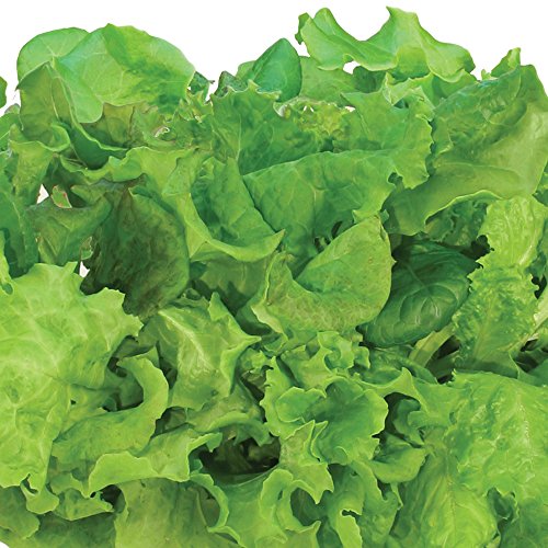 AeroGarden Salad Greens Mix Seed Pod Kit, 6 pod - //coolthings.us