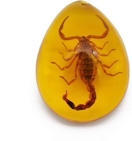 Amazon 人工琥珀 樹脂の化石 琥珀 樹脂化石 虫入り琥珀 蝶虫と琥珀化石サンプル石クリスタル標本家の装飾コレク 適用する指導教育収集 サソリ 岩石 鉱物 おもちゃ