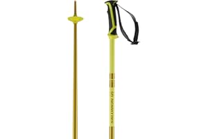 Salomon Arctic Unisex Aluminium Ski and Winter Sports Poles, Lightweight, Strong, Colour-Matched to skis