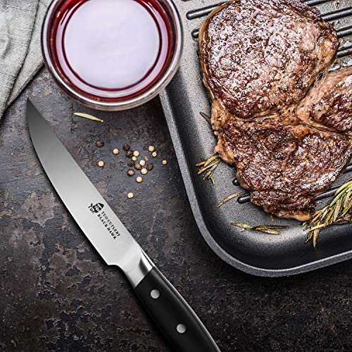 TUO Steak Knife 5 inch Professional Kitchen Steak Knife Set 4 Table