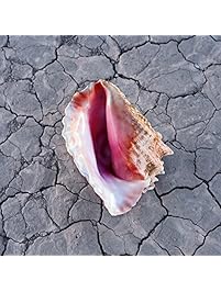 Wonderful Wonderful (Deluxe)