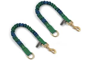 Wolfone Shock Absorber Reflective Threads Bungee Dog Leash for Running，Trainning，Recall 2-Pack Blue-Green Gradient