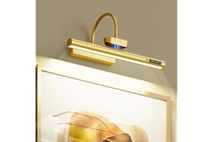 Bridika Picture Light Battery Operated, 13.8in Picture Lights for Wall, 3 Colors & Brightness Dimmable, Rechargeable Art Ligh