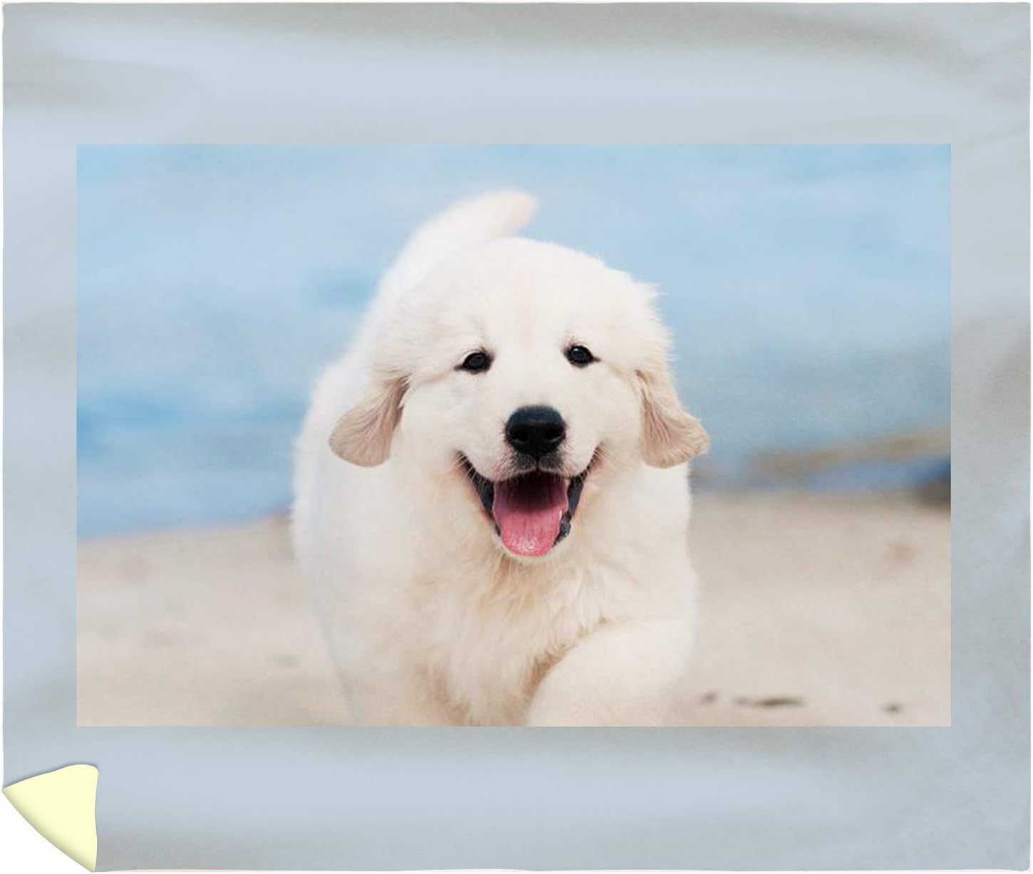 happy golden retriever puppy