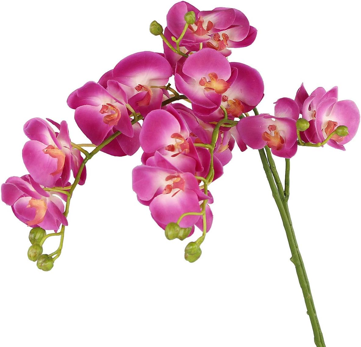 Best kitchen table centerpiece, lemon