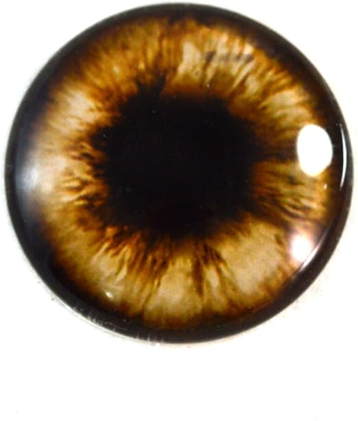 teddy bear eyes for sale