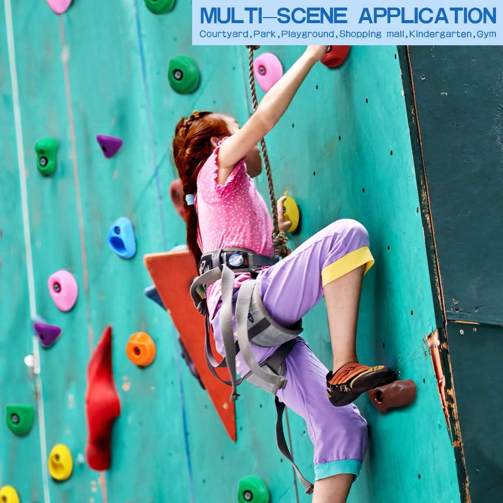 Newtion 25 Multi-Size Rock Climbing Holds for Kids and Adult,DIY Rock Climbing Holds Set with 25 Bolts,T-Nuts,Washers and 8 Foot Knotted Rope-Kids Indoor and Outdoor Play Set Use: Toys & Games