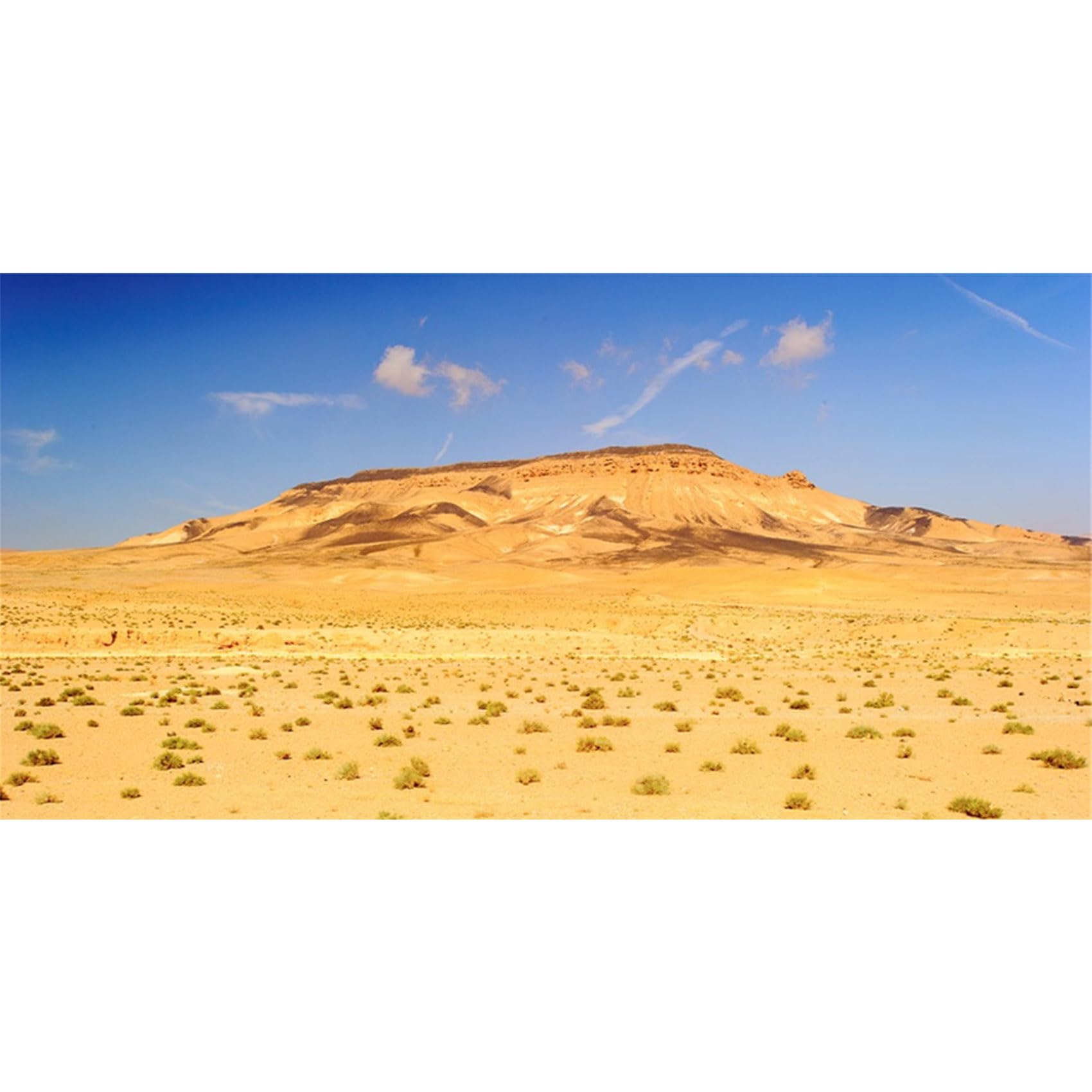 MIRRORANG 180x46cm Durable Vinyl Terrarium Background Blue Sky Oasis Gobi Orange Desert Reptile Habitat Background