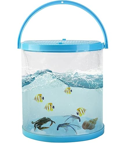 Amazon.com : Foldable Small Aquarium, Portable Fish Tank, Fish