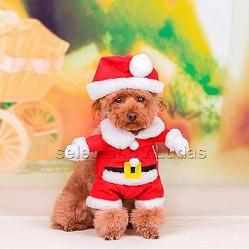 Amazon サンタ クリスマス サンタクロース 犬服 猫服 小型犬 仮装 二足歩行 コスプレ ハロウィン ドッグウエア S M L Lp 013 S ノーブランド品 コスチューム 通販 Amazon サンタ クリスマス サンタクロース 犬服 猫服 小型犬 仮装 二足歩行 コスプレ ハロウィン ドッグウエア S M L Lp 013 S ノーブランド品 コスチューム 通販