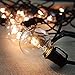 Zitrades G40 Bulbs Clear Glass Globe Bulbs for Outdoor String Lights E12 Base, Pack of 25