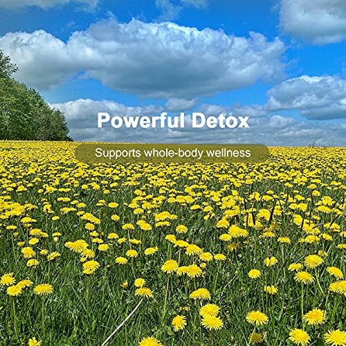 Yan Hou Tang Organic Dandelion Root Tea Bags 20 Counts Digestive Vitamin Rich Premium Herbal Detox Teabags to Cleanse Help Boost Immunity Caffeine Free