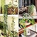 Ahvoler Artificial Succulent Plants String of Pearls 28