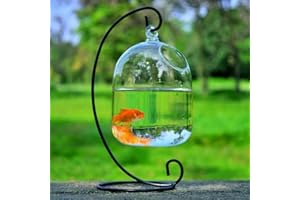 kekafu Desk Hanging Fish Tank Bowl with Stand Creative Glass Planter Vase Holder Glass Ornament, Small Table Top Glass Fish Bowl Mini Aquarium for Betta Fish Home Decor