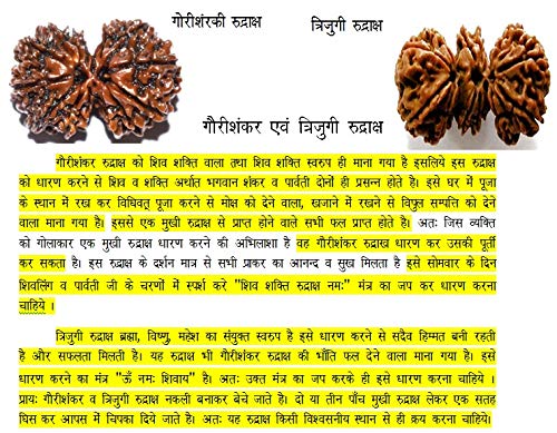 100% Original & Natural Gauri Shankar Nepal Rudraksha
