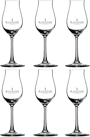 Plantation Stölzle Gläser ohne Eichstrich 6 Stück: Amazon.de: Bier