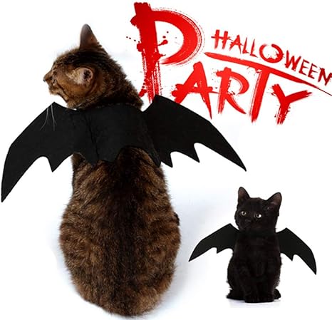 Amazon Com Nacoco Pet Halloween Bat Wings Costume Cool Batman