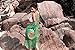 Angerella Summer Womens Beach Wear Cover up Swimwear Beachwear Bikini(COP010-G1), Green, One Size