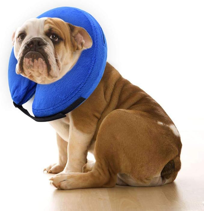 neck pillow for dogs after surgery