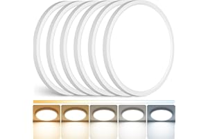 Peasur 12Inch LED Ceiling Light Flush Mount, 5CCT 3000K-6500K Adjustable Ceiling Light Fixture, 2400LM 24W Bright White Flat Lighting Fixture for Hallway Kitchen Bathroom Bedroom, 6Pack