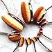 BeautyKate 10Pcs Oval Makeup Brushes Set Soft Professional Toothbrush Face Foundation Contouring Blending Eyeshadow Eyeliner Concealer Blush Cosmetic Brush Tool Kit Rose Gold Black