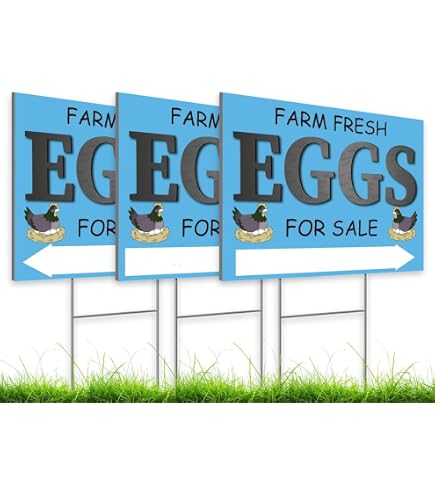 thumbnail image 2 of Mvgges Funny 'Fresh Eggs For Sale' Metal Tin Sign - 16x12 Inch Rustic Novelty Sign For Indoor & Outdoor 2 of 14