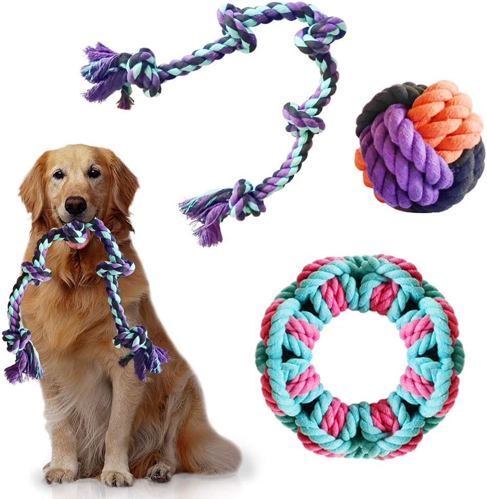 toys for 2 dogs to play together