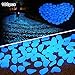 Amagabeli 100 Pcs Glow in The Dark Pebbles for Walkways Décor Glow Stones Rocks for Garden Outdoor Decorative Luminous Pebbles Gravel Fairy Garden Pathway Walkway Fish Tank Aquarium Ornaments in Blue