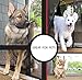 Magnetic Screen Door-Highest Quality Easy to Install Door Screens with Magnets-size 40