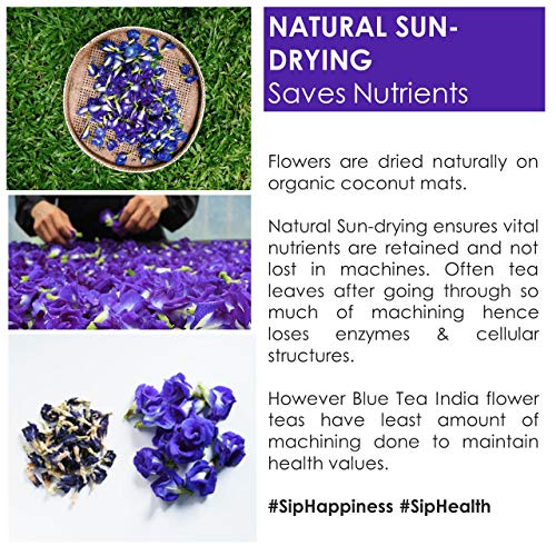 Blue Tea Indian Chai Masala |Zero Caffeine Detox Herbal Tea |Butterfly Pea Flower, Cinnamon, Cardamom, Ginger, Clove | 24 Handcrafted Premium Pyramid Tea Bags - 48 Cups - Thumbnail 6