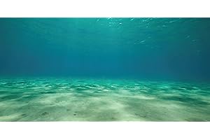 AQUATIC CREATIONS SPORN Aquarium Background, Static Cling, Ocean Floor 36" x 18"